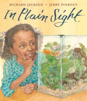 In Plain Sight cover