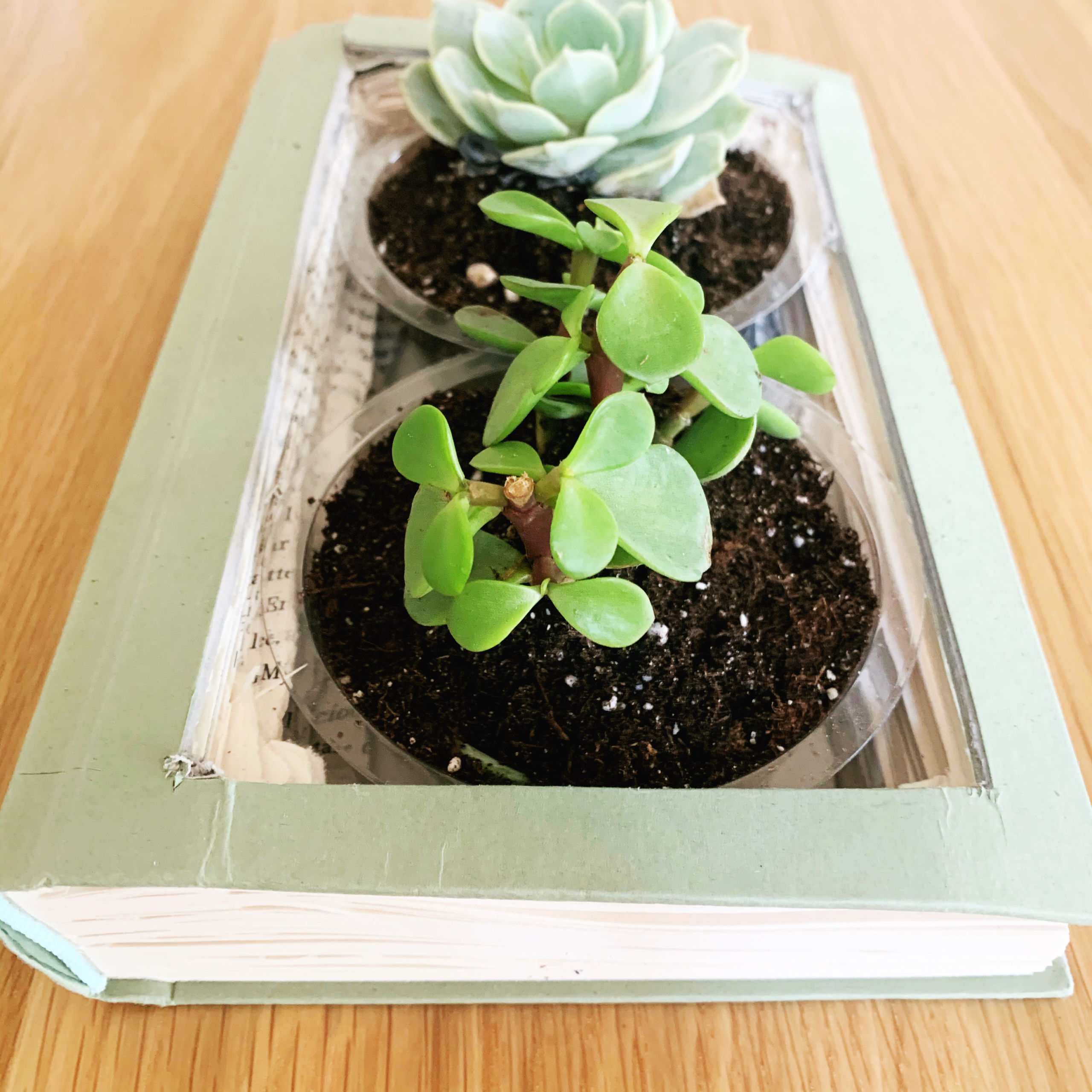 DIY Book Craft Planter