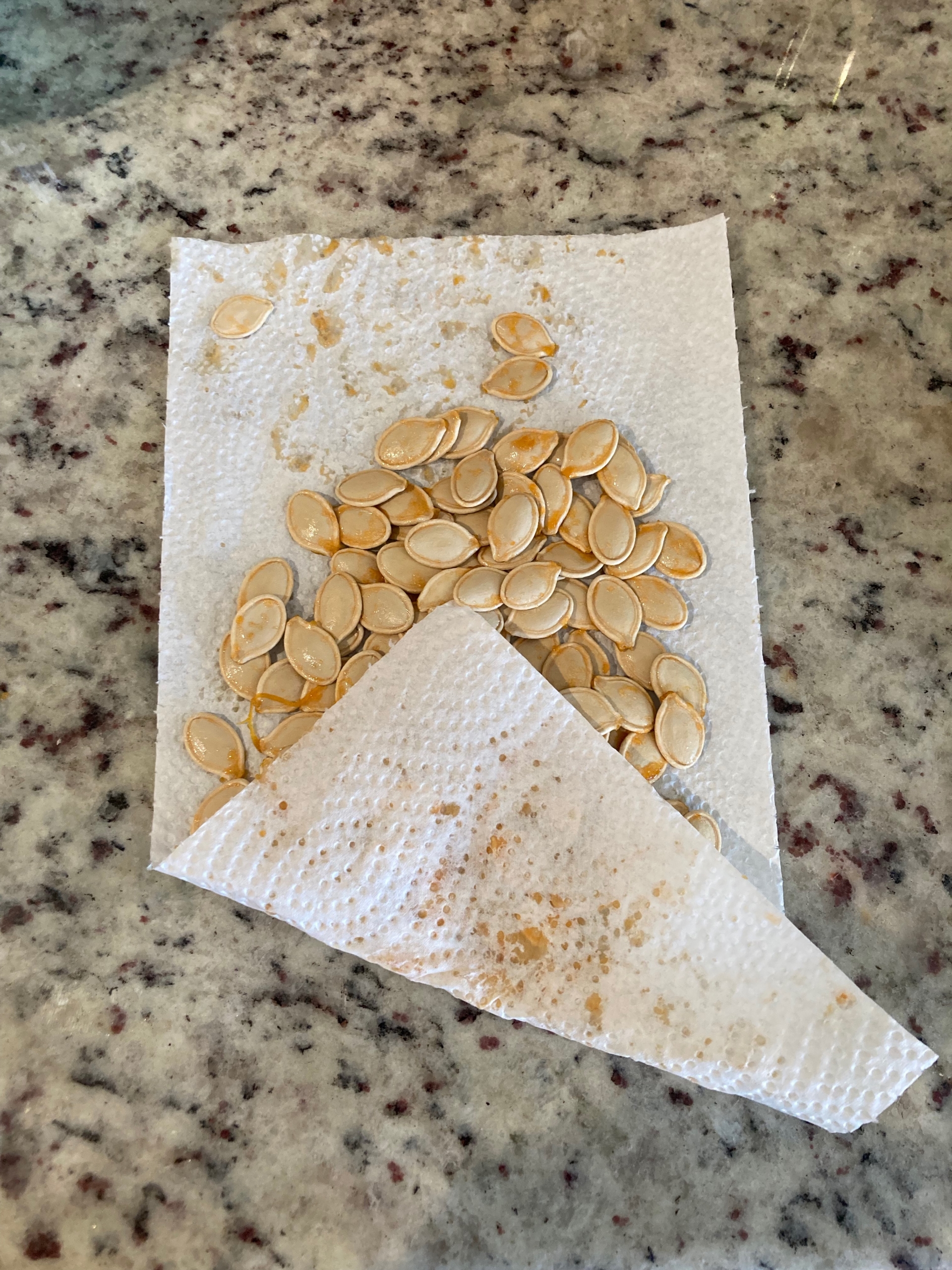 Pumpkin seeds drying on a paper towel