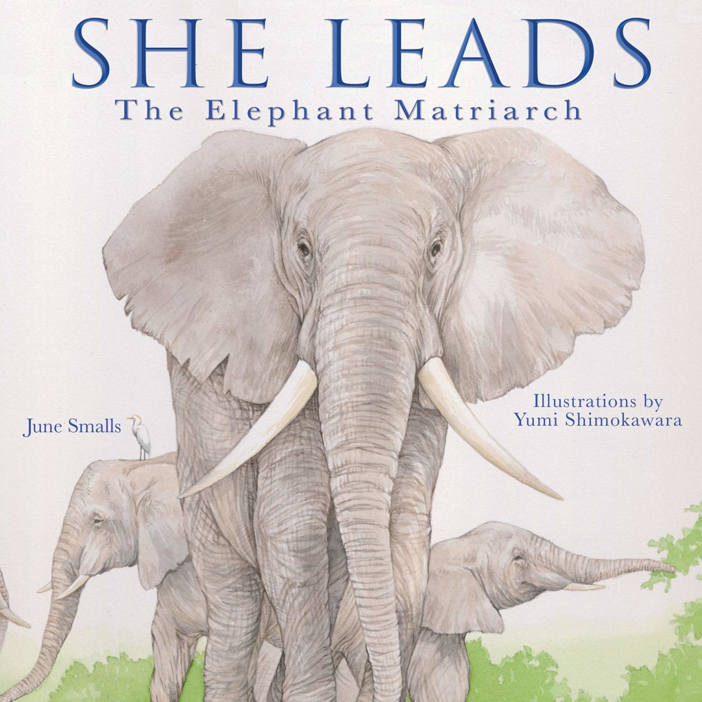 She Leads The Elephant Matriarch by June Smalls book cover